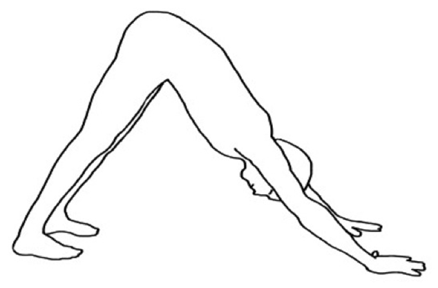 inversion yoga pose