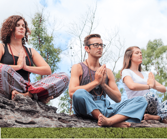 Swami's Yoga Retreat
