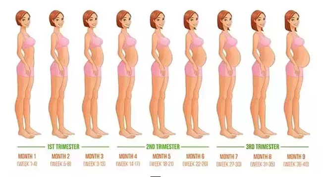 The Best oga Poses for Every Trimester | Yoga Poses for Pregnant Women