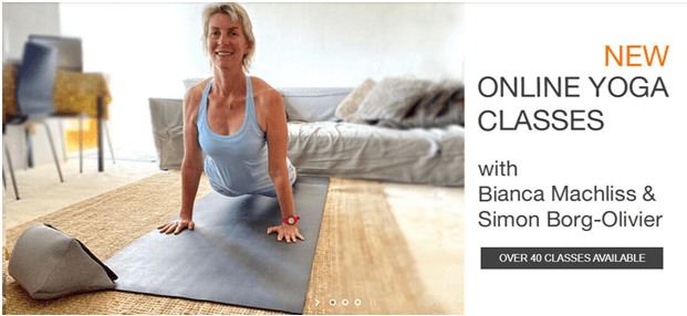 Yoga synergy online classes