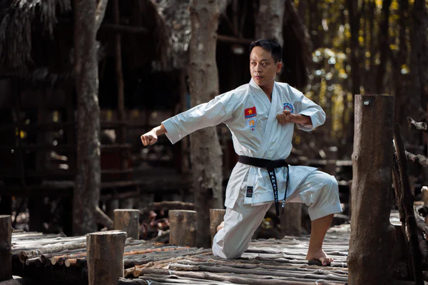 Self-defense: The Five Most Effective Martial Arts