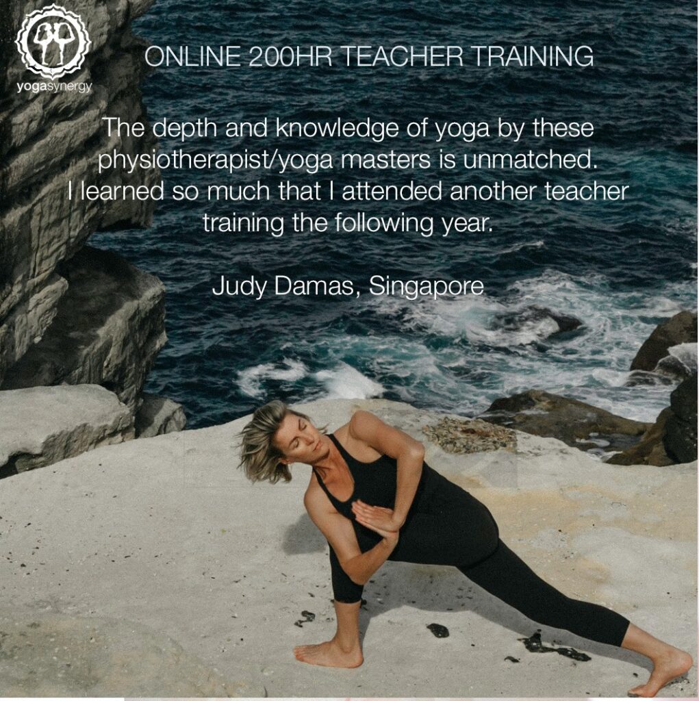 yoga synergy teacher training